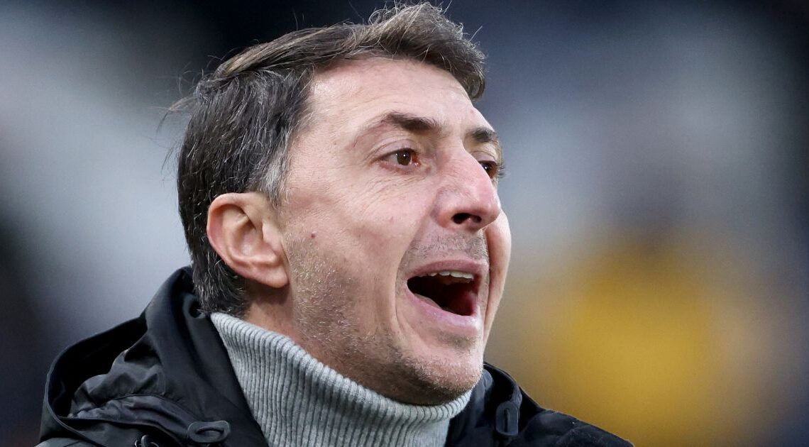 Shota Arveladze 'surprised' by Hull City positives ahead of QPR clash