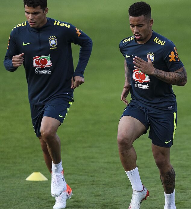 Thiago Silva appears to be keen on the idea of being joined at Chelsea by Gabriel Jesus