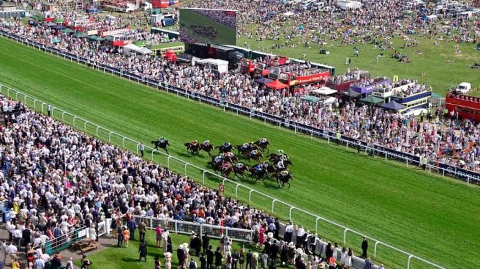 Epsom Derby betting