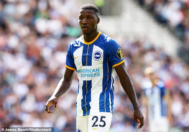Brighton are set to offer Moises Caicedo a new deal to stop him from joining Chelsea