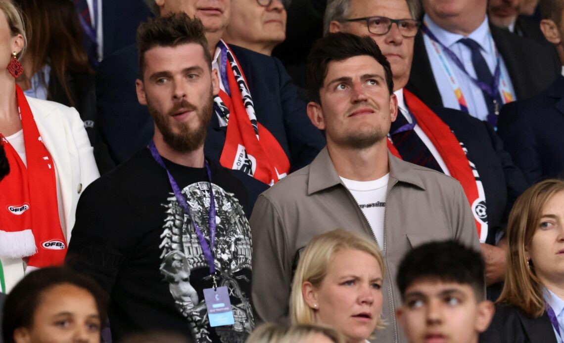 Harry Maguire and David de Gea at a match