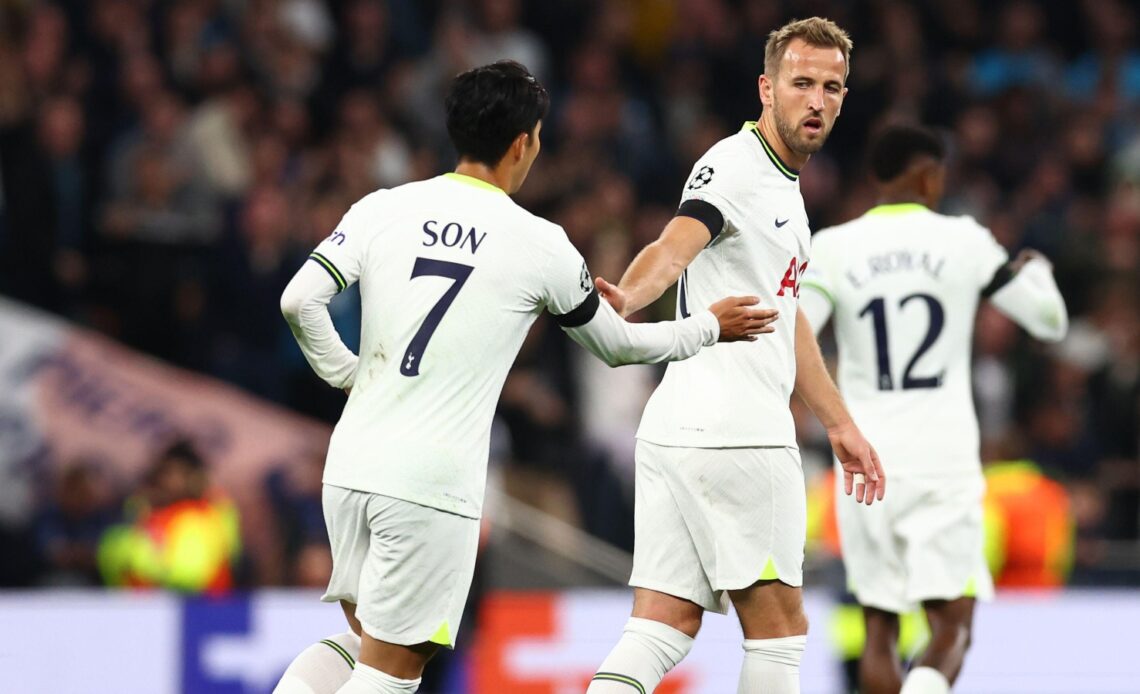 Tottenham striker Harry Kane celebrates his goal