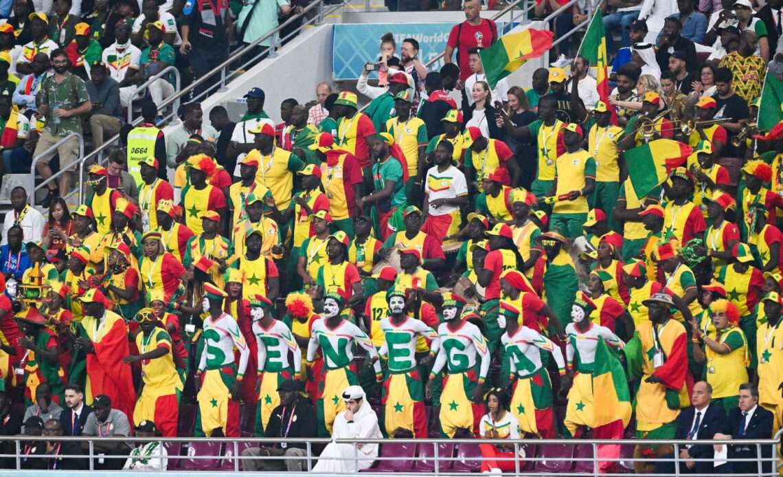 Senegal supporters against Ecuador at the 2022 World Cup