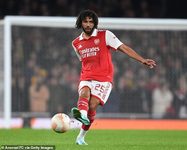 Mohamed Elneny has suffered a serious knee injury that could spell the end of his season