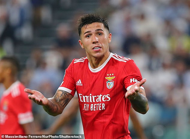 Chelsea target Enzo Fernandez 'tells Benfica he doesn't want to play in their game on Friday night'