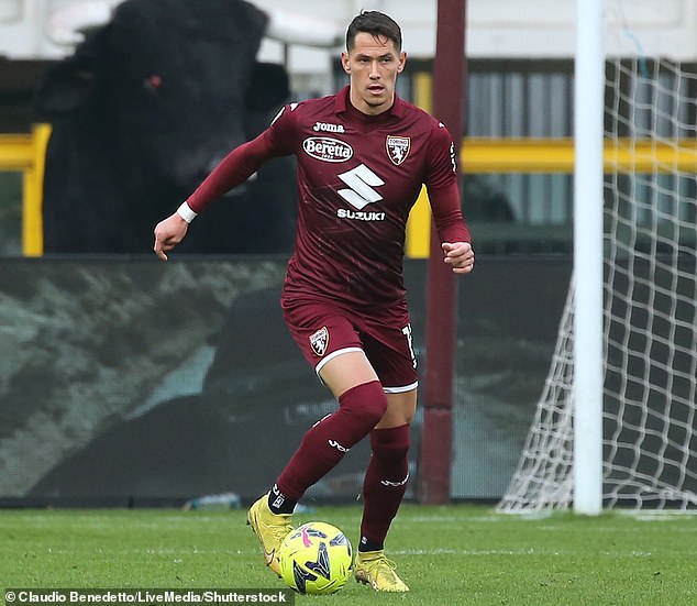 Sasa Lukic is set to join Fulham from Italian club Torino until the summer of 2026