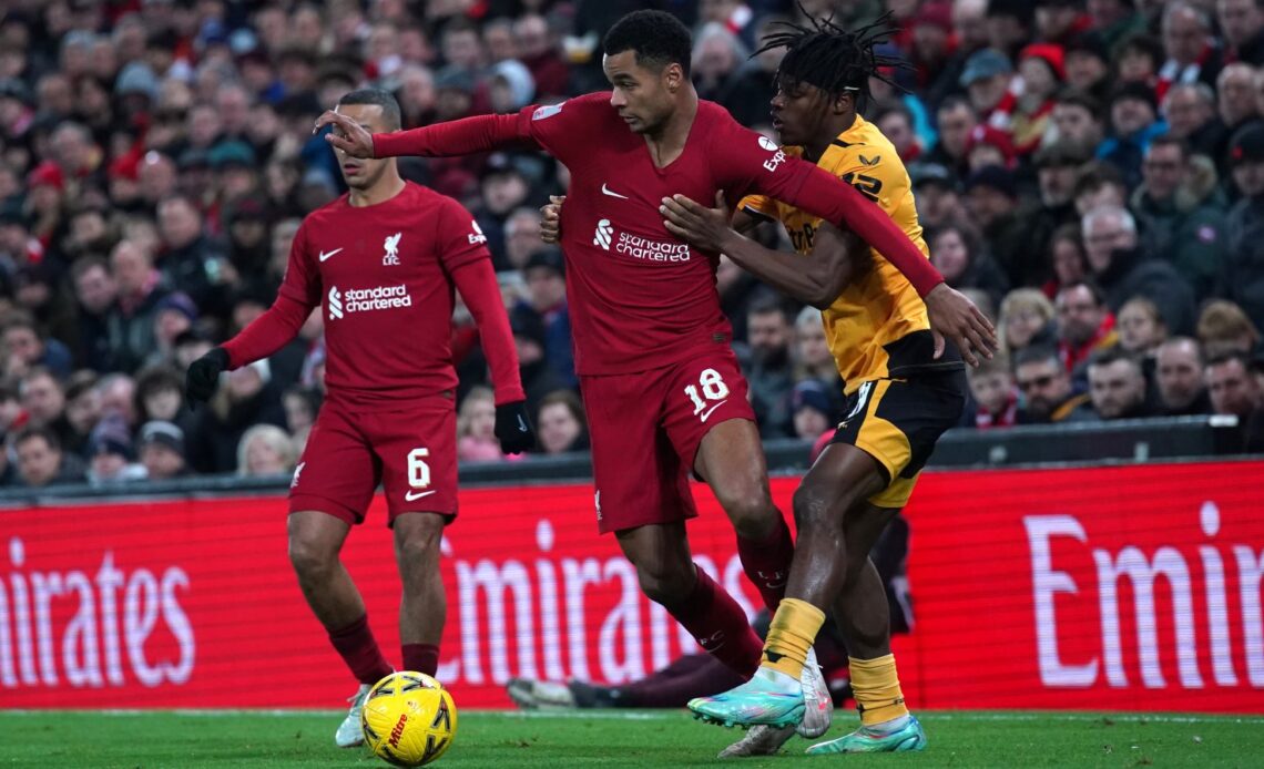 Cody Gakpo in action for Liverpool against Wolves.