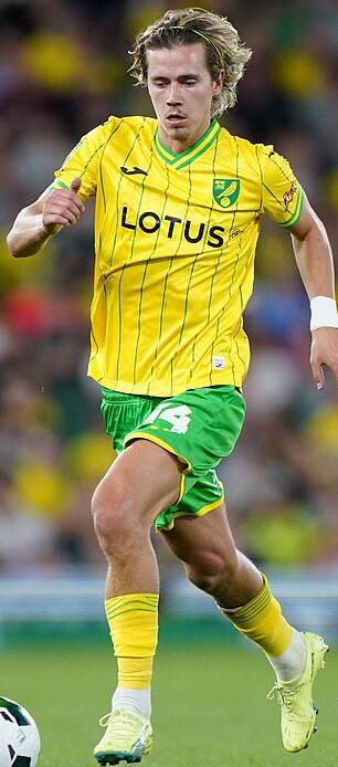 Rangers are in talks to sign Norwich City's Todd Cantwell and Swansea's Morgan Whittaker