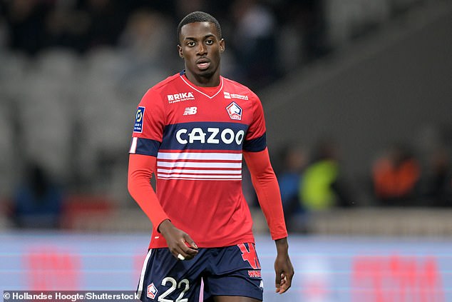 Timothy Weah hasn't started many games for Lille this season, but is being courted in January
