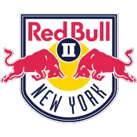 New York Red Bulls II Name Ibrahim Sekagya as Head Coach