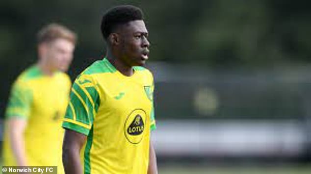 The youngster has made a major impact for Norwich at both Under-18 and Under-21 levels