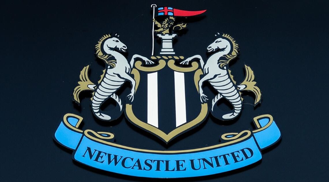 Looking at the Newcastle's potential starting XI for 2023-2024 which could include 3 new summer signings