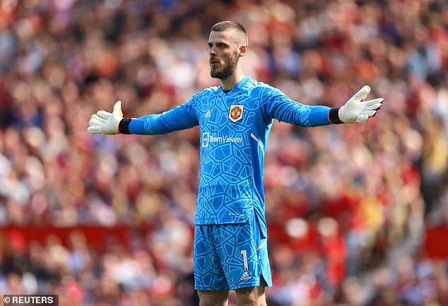 David de Gea (pictured) is set to sign a new contract but Erik ten Hag wants competition
