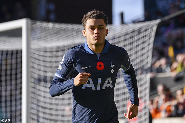 Brennan Johnson scored his first Spurs goal in the recent defeat at Wolves, but Postecoglou is reportedly on the hunt for attacking reinforcements in January