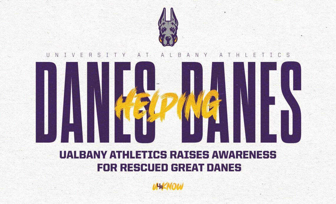 UAlbany Athletics Raises Awareness for Rescued Great Danes