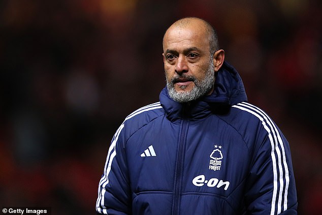 Forest manager Nuno Espirito Santo could look to add to his goalkeeping options