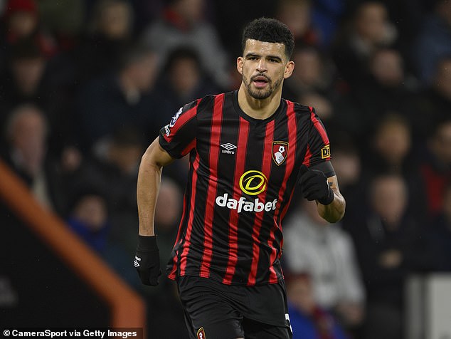 Tottenham are considering a move for £50m-rated Bournemouth striker Dominic Solanke