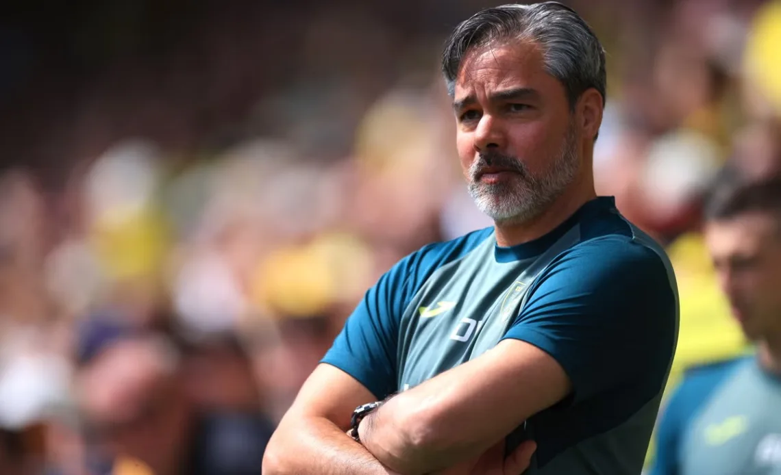 Norwich City sack manager David Wagner after play-off defeat