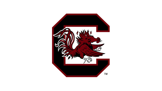 Gabriel Atienza - Men's Soccer - University of South Carolina Athletics