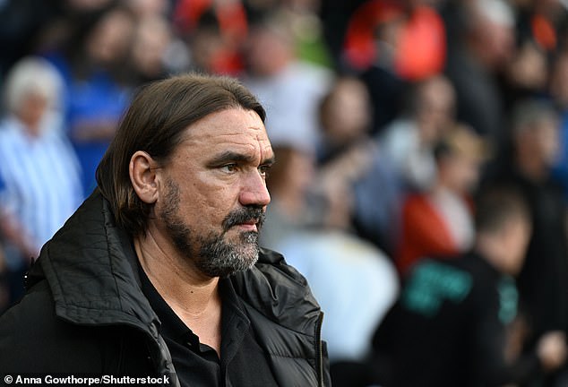 Daniel Farke's Leeds could trigger the release clause of £2.65million in Tanaka's contract