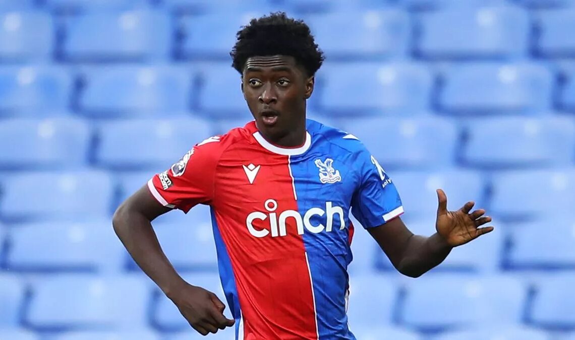 Jesurun Rak-Sakyi in action for Crystal Palace.