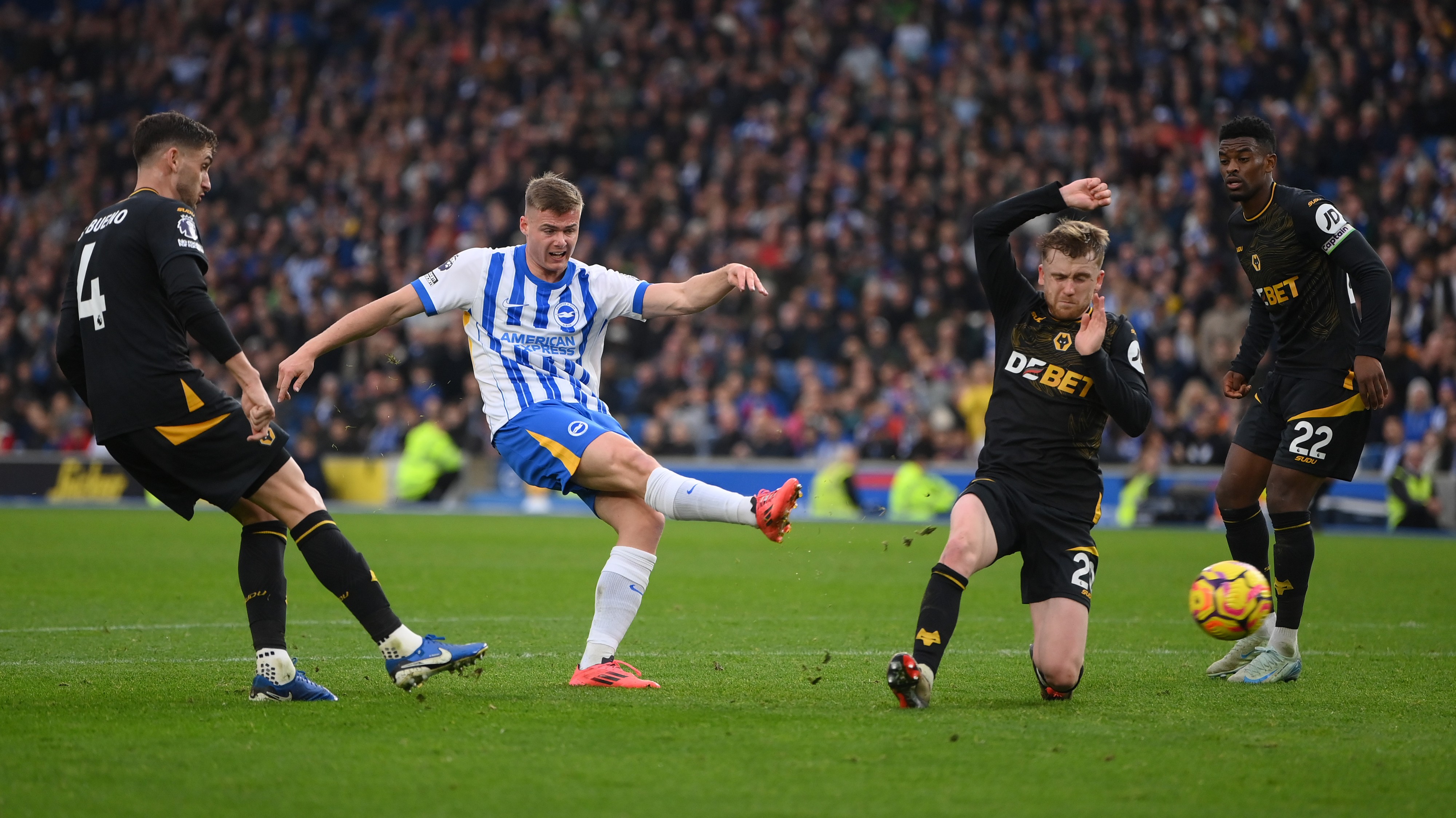 Evan Ferguson of Brighton & Hove Albion scores